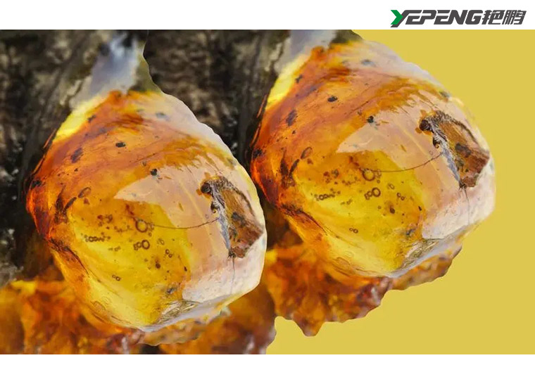 Rohstoffanforderungen für Polypropylenchips